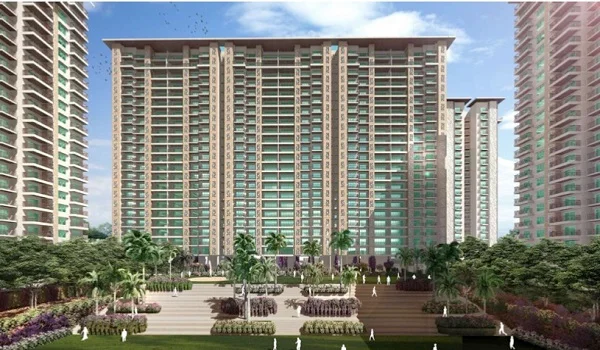 Featured Image of Prestige Bougainvillea