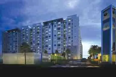 Prestige Willow Tree