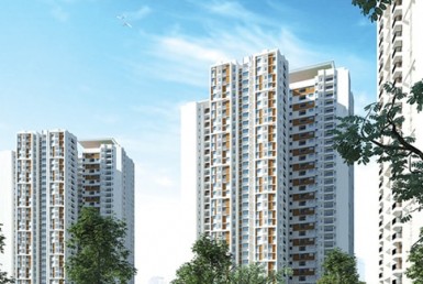 Prestige Falcon City